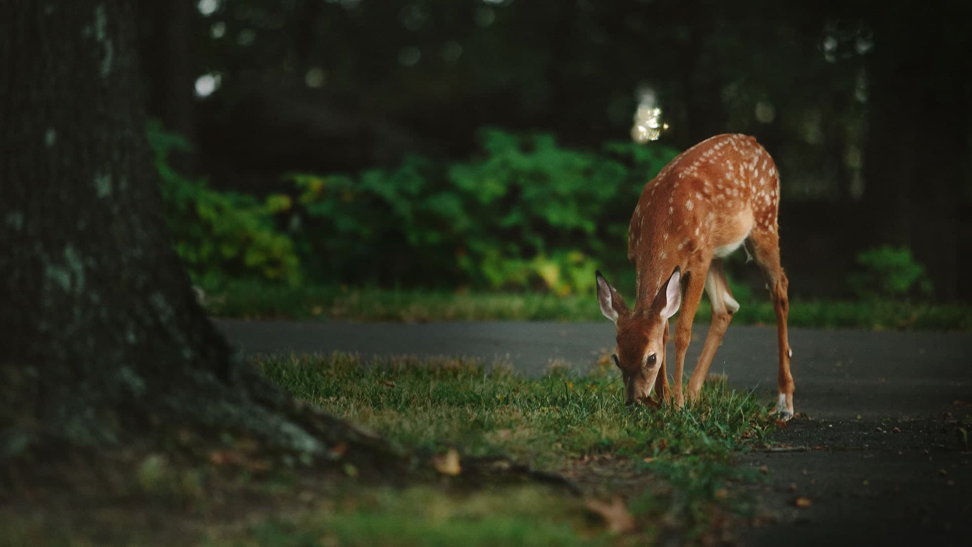 Shutter Slider 03