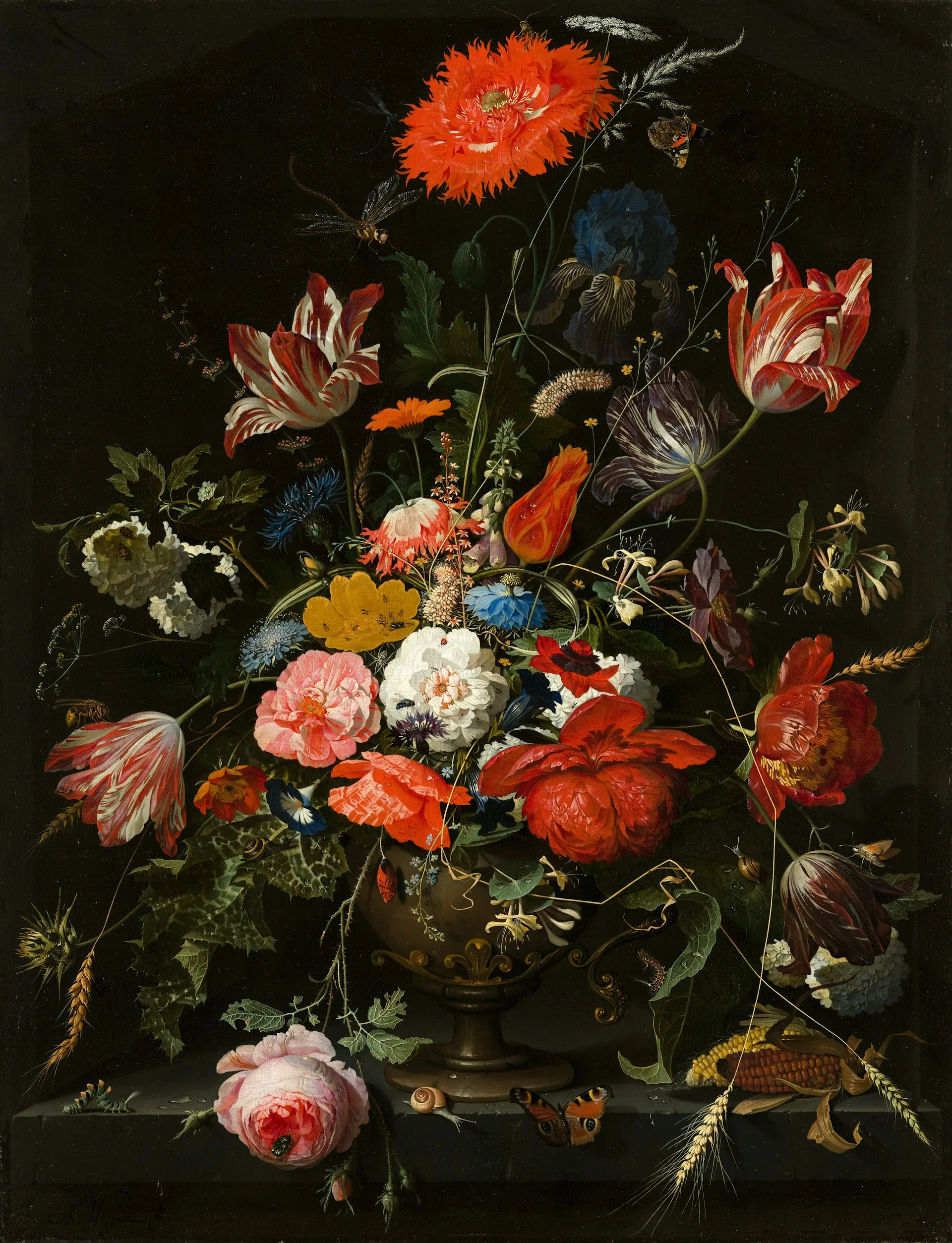 Bloom
